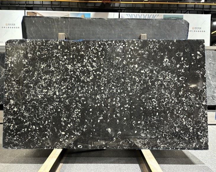 China Sea Shell Black China Sea Shell Black